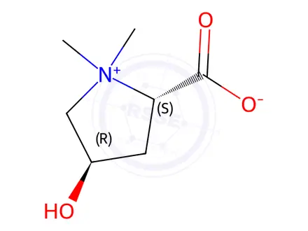 Chemical structure of (2S,4R)-4-Hydroxy-1,1-dimethylpyrrolidin-1-ium-2-carboxylate