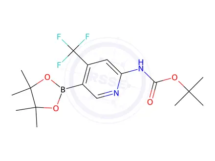 Chemical structure of tert-butyl 5-(4,4,5,5-tetramethyl-1,3,2-dioxaborolan-2-yl)-4-(trifluoromethyl)pyridin-2-ylcarbamate