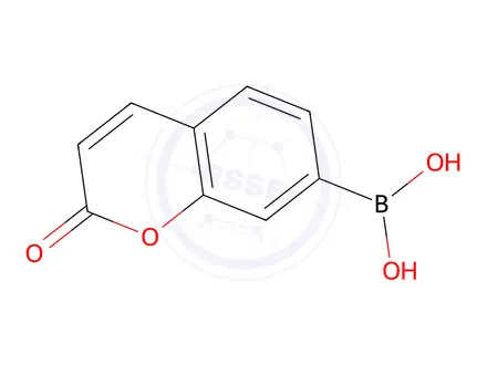 Chemical structure of B-(2-Oxo-2H-1-benzopyran-7-yl)boronic Acid