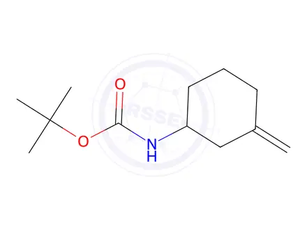 Chemical structure of tert-Butyl (3-Methylenecyclohexyl)carbamate