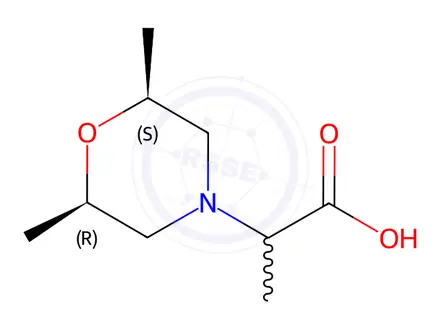 Chemical structure of 2-(2,6-Dimethylmorpholin-4-yl)propanoic acid hydrochloride