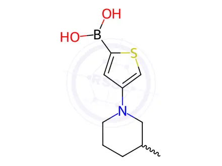 Chemical structure of (4-(3-Methylpiperidin-1-yl)thiophen-2-yl)boronic acid