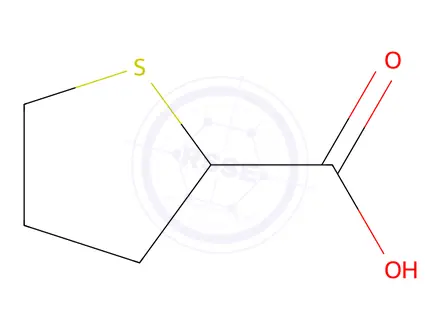 Chemical structure of Tetrahydrothiophene-2-carboxylic Acid