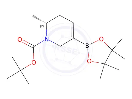 Chemical structure of tert-butyl (2R)-2-methyl-5-(4,4,5,5-tetramethyl-1,3,2-dioxaborolan-2-yl)-3,6-dihydro-2H-pyridine-1-carboxylate
