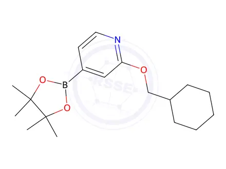 Chemical structure of 2-(Cyclohexylmethoxy)-4-(4,4,5,5-tetramethyl-1,3,2-dioxaborolan-2-yl)pyridine