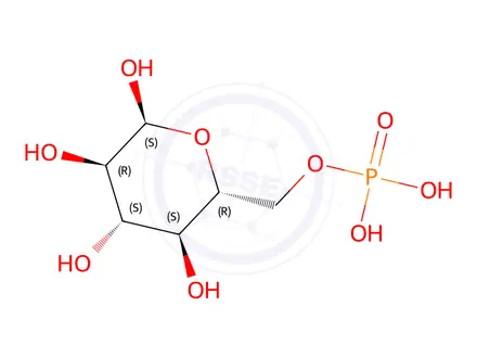 Chemical structure of α-D-Glucose 6-phosphate