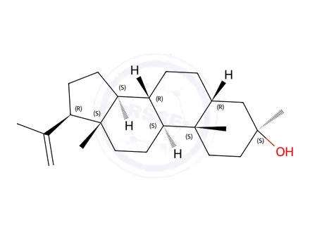 Chemical structure of (3S,5R,8R,9S,10S,13S,14S,17R)-3,10,13-Trimethyl-17-(prop-1-en-2-yl)hexadecahydro-1H-cyclopenta[a]phenanthren-3-ol