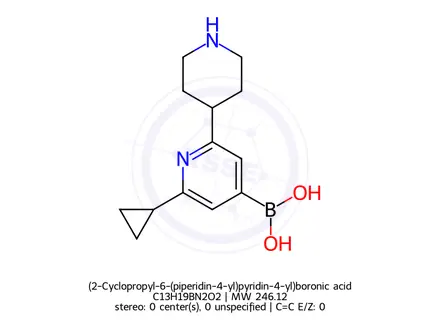 Chemical structure of (2-Cyclopropyl-6-(piperidin-4-yl)pyridin-4-yl)boronic acid