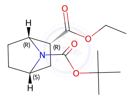 Chemical structure of O7-tert-Butyl O2-ethyl endo-7-azabicyclo[2.2.1]heptane-2,7-dicarboxylate