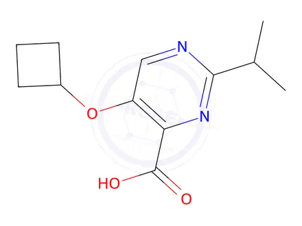 Chemical structure of 5-Cyclobutoxy-2-(propan-2-yl)pyrimidine-4-carboxylic acid