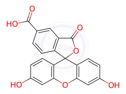 Chemical structure of 5-Carboxyfluorescein