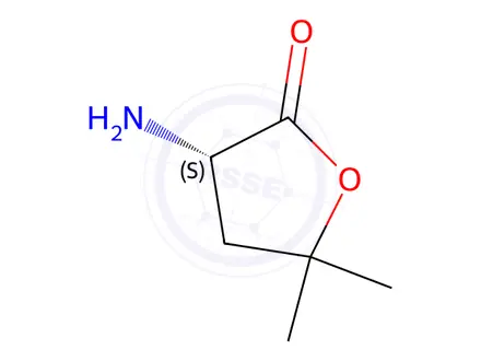 Chemical structure of (3S)-3-amino-5,5-dimethyloxolan-2-one