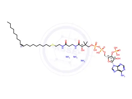 Chemical structure of 18:1 ether Coenzyme A