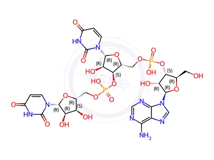 Chemical structure of uridylyl(5'->3')uridylyl(5'->3')adenosine