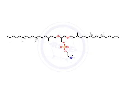 Chemical structure of 4ME 16:0 Diether PC
