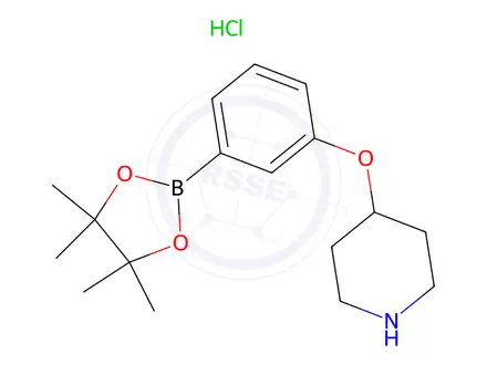 Chemical structure of 4-[3-(Tetramethyl-1,3,2-dioxaborolan-2-yl)phenoxy]piperidine hydrochloride