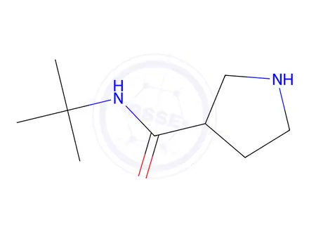 Chemical structure of N-(tert-butyl)pyrrolidine-3-carboxamide