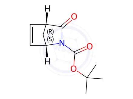 Chemical structure of (1S,4R)-tert-butyl 3-oxo-2-azabicyclo[2.2.1]hept-5-ene-2-carboxylate