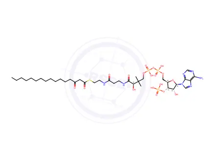 Chemical structure of 3-​Ketopalmitoyl-​CoA