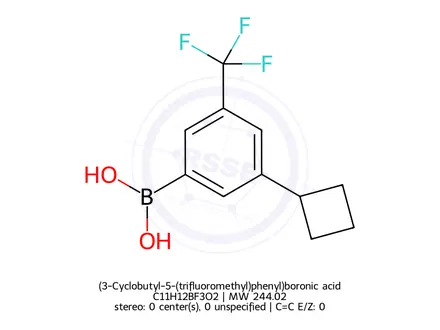 Chemical structure of (3-Cyclobutyl-5-(trifluoromethyl)phenyl)boronic acid