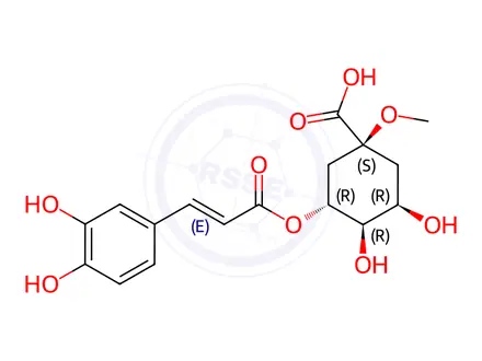 Chemical structure of 1-O-Methyl Chlorogenic Acid