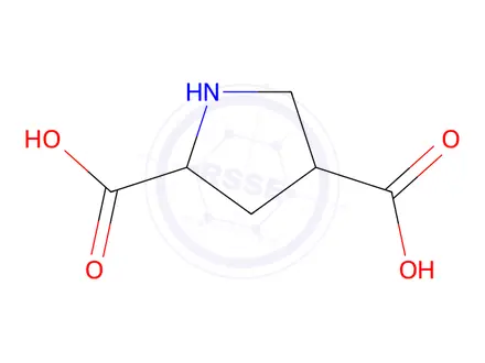 Chemical structure of 2,4-Pyrrolidinedicarboxylicacid,(2R-cis)-(9CI)