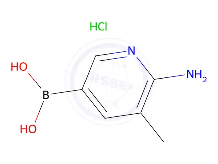 Chemical structure of (6-Amino-5-methylpyridin-3-yl)boronic acid hydrochloride