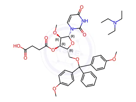 Chemical structure of Uridine, 5'-O-[bis(4-methoxyphenyl)phenylmethyl]-2'-O-methyl-, 3'-(hydrogen butanedioate), compd. with N,N-diethylethanamine (1:1)