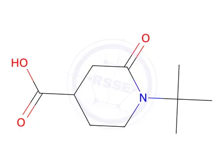 Chemical structure of 1-(Tert-butyl)-2-oxopiperidine-4-carboxylic acid