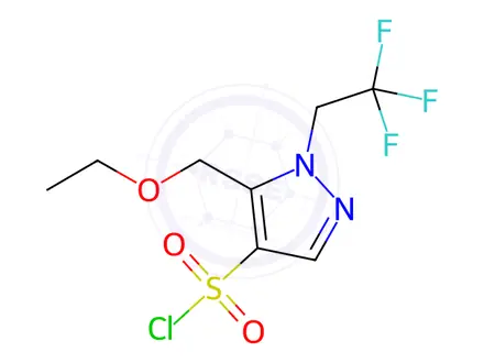 Chemical structure of 5-(ethoxymethyl)-1-(2,2,2-trifluoroethyl)-1H-pyrazole-4-sulfonyl chloride