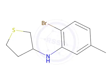 Chemical structure of N-(2-bromo-5-methylphenyl)tetrahydrothiophen-3-amine