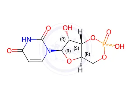 Chemical structure of Uridine 3`,5`-monophosphate