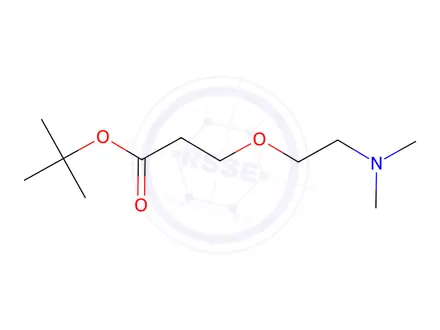 Chemical structure of tert-Butyl 3-(2-(Dimethylamino)ethoxy)propanoate