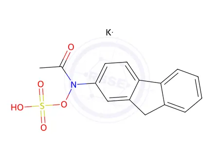Chemical structure of N-Acetyl-N-9H-fluoren-2-yl-hydroxylamine-O-sulfonic Acid Potassium Salt