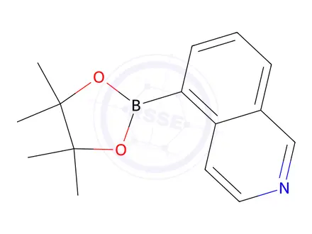 Chemical structure of 5-(4,4,5,5-Tetramethyl-1,3,2-dioxaborolan-2-yl)isoquinoline