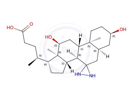Chemical structure of 3a,12-a-Dihydroxy-7-diazirdinecholanic Acid