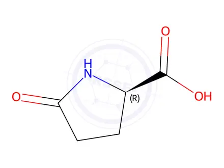 Chemical structure of D-Pyroglutamic Aicd