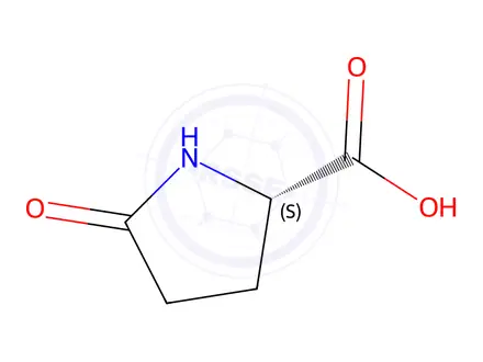 Chemical structure of L-Pyroglutamic acid