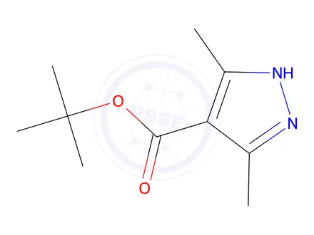 Chemical structure of tert-Butyl 3,5-dimethyl-1H-pyrazole-4-carboxylate
