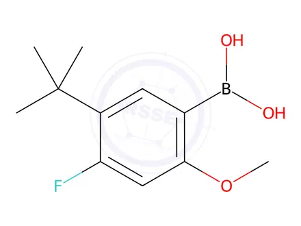 Chemical structure of (5-(tert-Butyl)-4-fluoro-2-methoxyphenyl)boronic acid