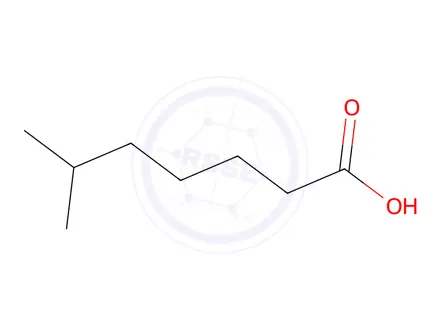 Chemical structure of 6-Methylheptanoic Acid