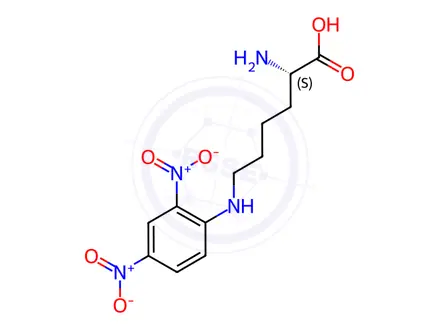 Chemical structure of epsilon-dinitrophenyllysine