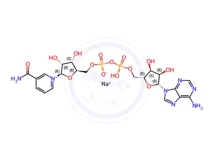 Chemical structure of B-NICOTINAMIDE ADENINE DINUCLEOTIDE*SODIUM APPROX.9