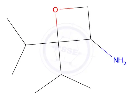Chemical structure of 2,2-Diisopropyloxetan-3-amine
