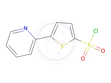 Chemical structure of 5-(2-PYRIDYL)THIOPHENE-2-SULFONYL CHLORIDE