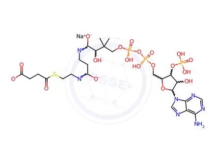 Chemical structure of Succinyl coenzyme A sodium salt