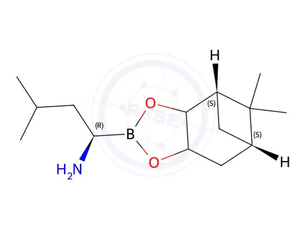 Chemical structure of (1R)-1-((4S,6S)-5,5-Dimethylhexahydro-4,6-methanobenzo[d][1,3,2]dioxaborol-2-yl)-3-methylbutan-1-amine
