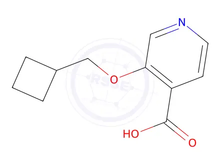 Chemical structure of 3-(Cyclobutylmethoxy)isonicotinic acid
