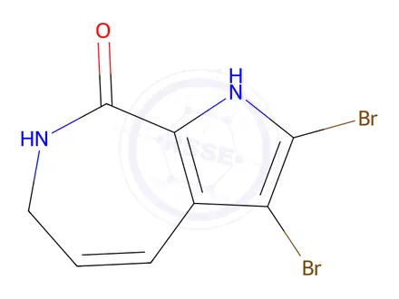 Chemical structure of 2,3-Dibromo-6,7-dihydropyrrolo[2,3-c]azepin-8(1H)-one