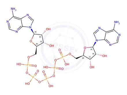 Chemical structure of Adenosine Impurity 113